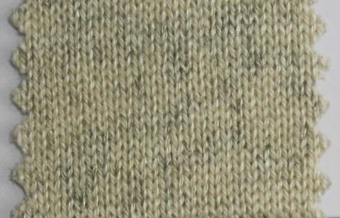 产品名称：CATKIN NS-6129； 所属分类：2股28支55％丝87％羊绒-粗纺（THEMIS）