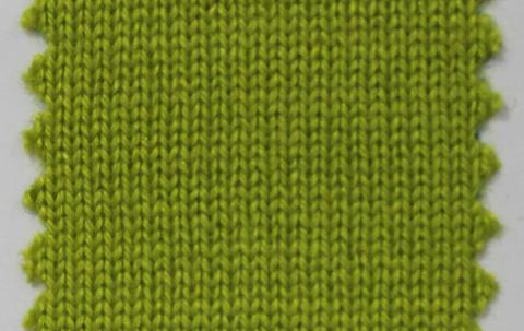 产品名称：WASABI NS-6511； 所属分类：2股28支55％丝49％羊绒-粗纺（THEMIS）